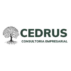 Imagem de Cedrus Consultoria Empresarial