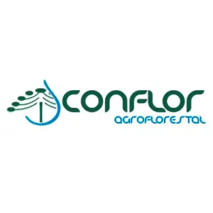 Imagem de Conflor