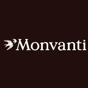 Imagem de Monvanti Assessoria de Investimentos LTDA
